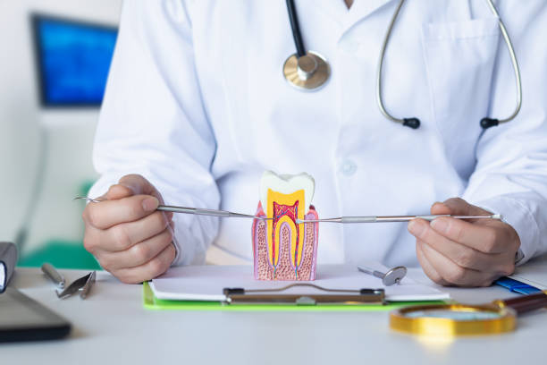 , MI Emergency Dental Service Company